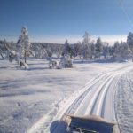 Skirenn Mykland